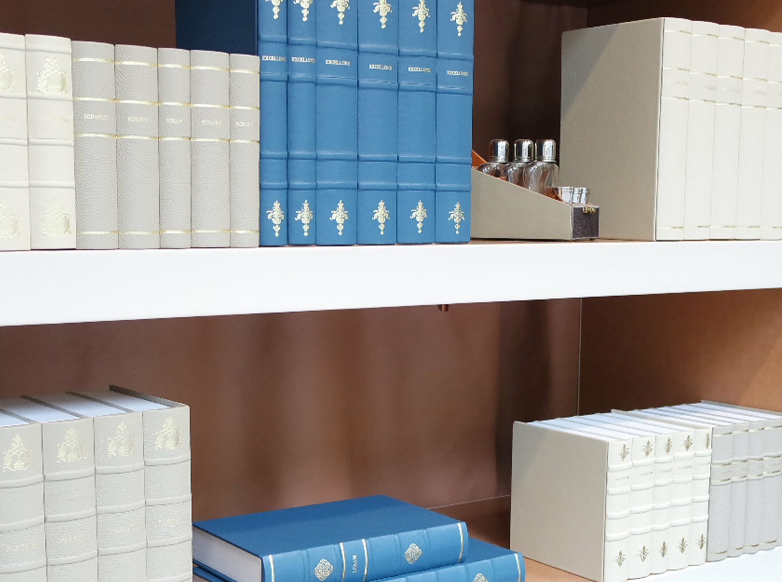 Bibliotheque de faux livres en cuir
